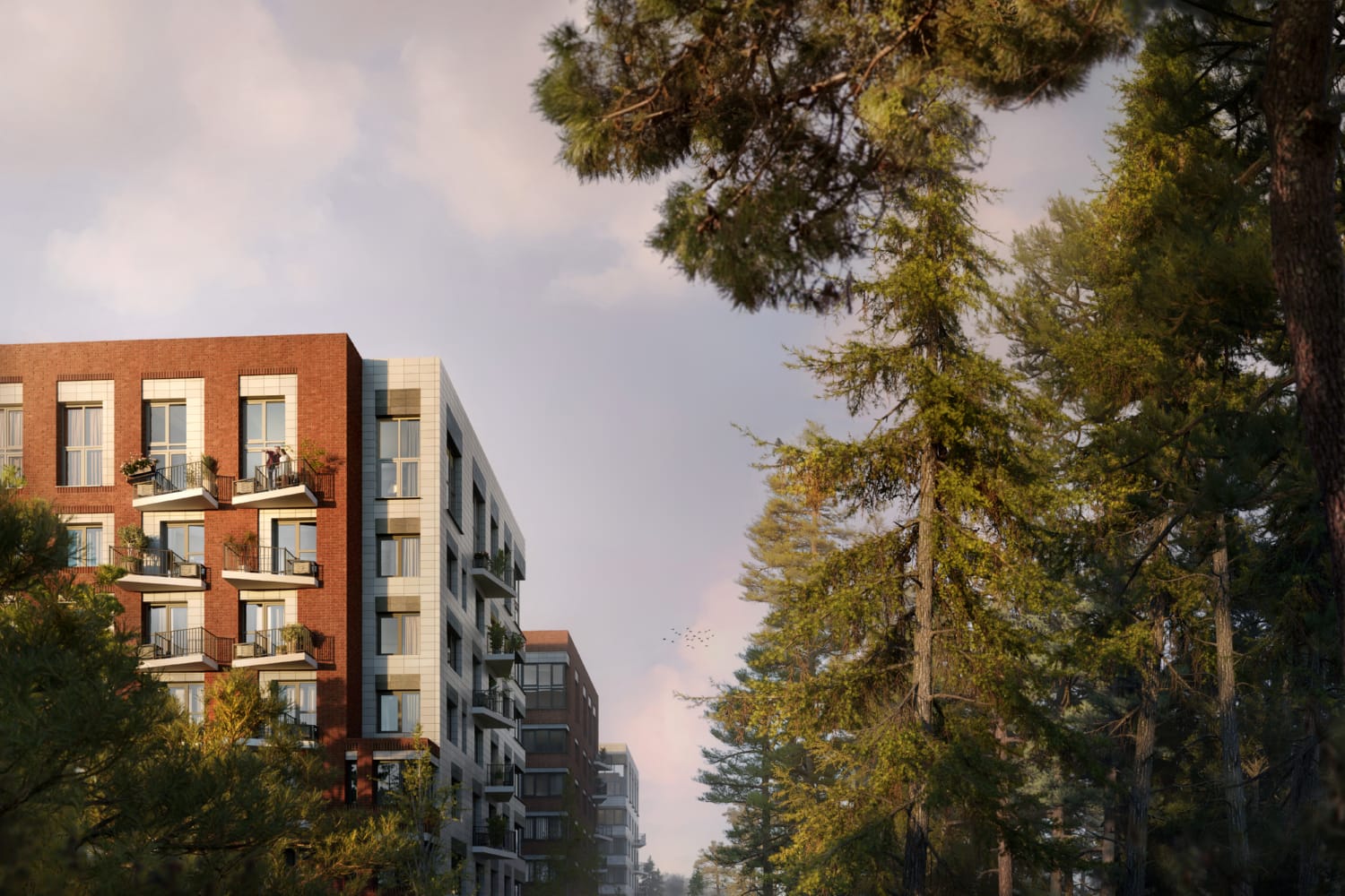 VEREN NORT сертолово